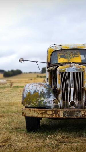 孕妇吃哈密瓜截图1